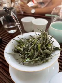 福鼎白茶